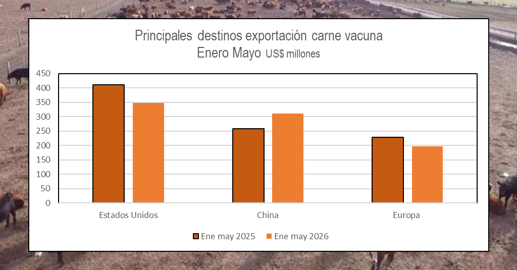 En mayo se dio la segunda caída interanual en las exportaciones de carne vacuna. China recupera terreno frente a Estados Unidos.
