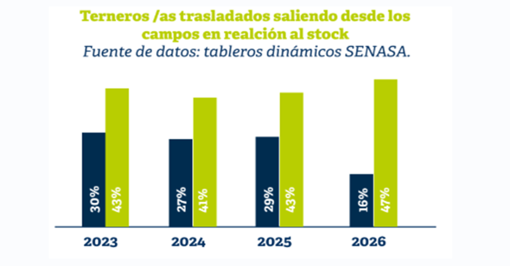 En la gráfica se muestra el porcentaje de terneros (en verde) y de terneras (en azul) comercializados en relación al stock de ambas categorías.