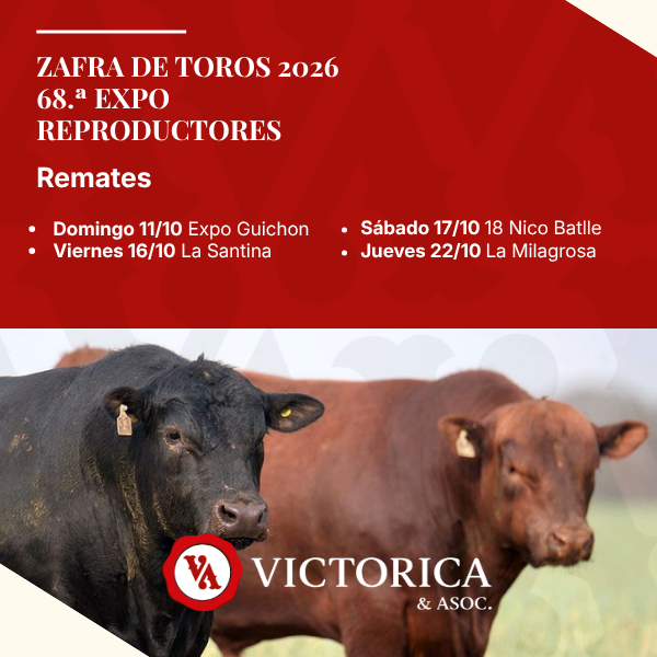 ZAFRA DE TOROS 2026
