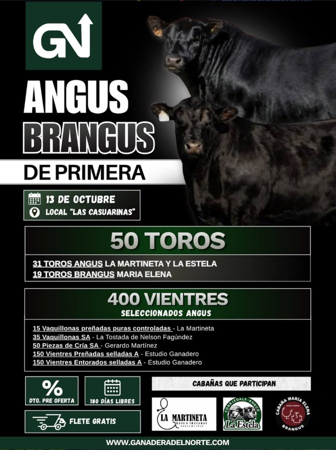Angus Brangus de Primera