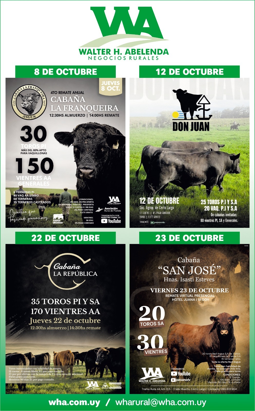 Vea cartelera de próximos remates