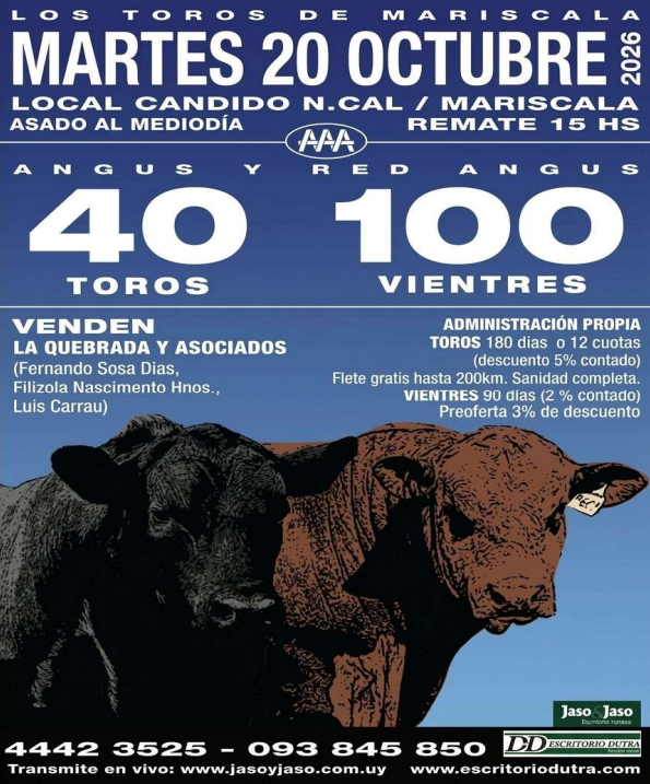 Toros de Mariscala