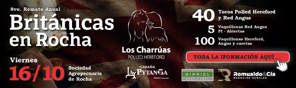 Británicas en Rocha