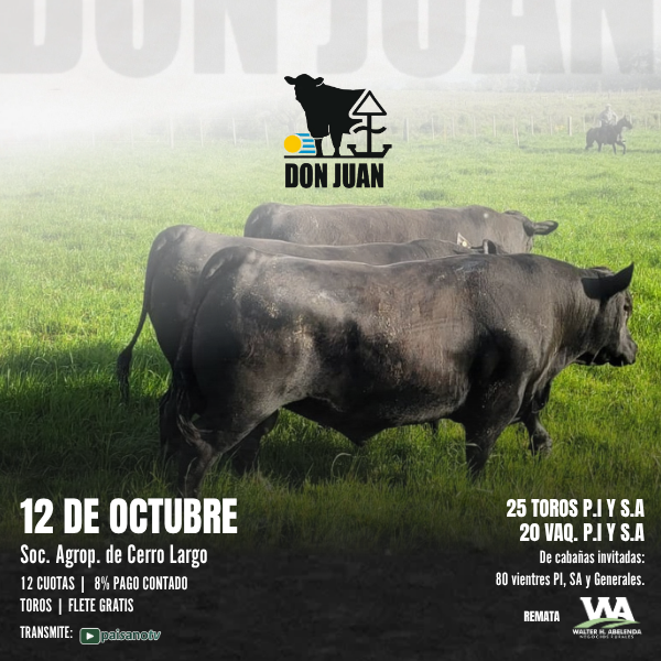 DON JUAN