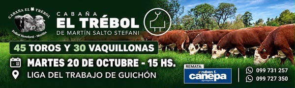 Cabaña EL TREBOL