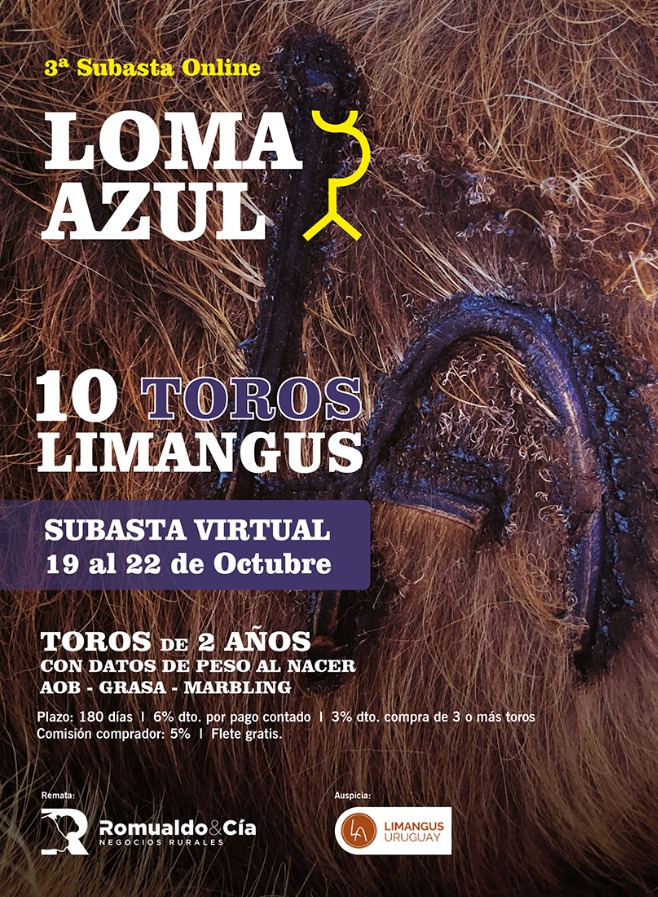 3a. Subasta Online Loma Azul