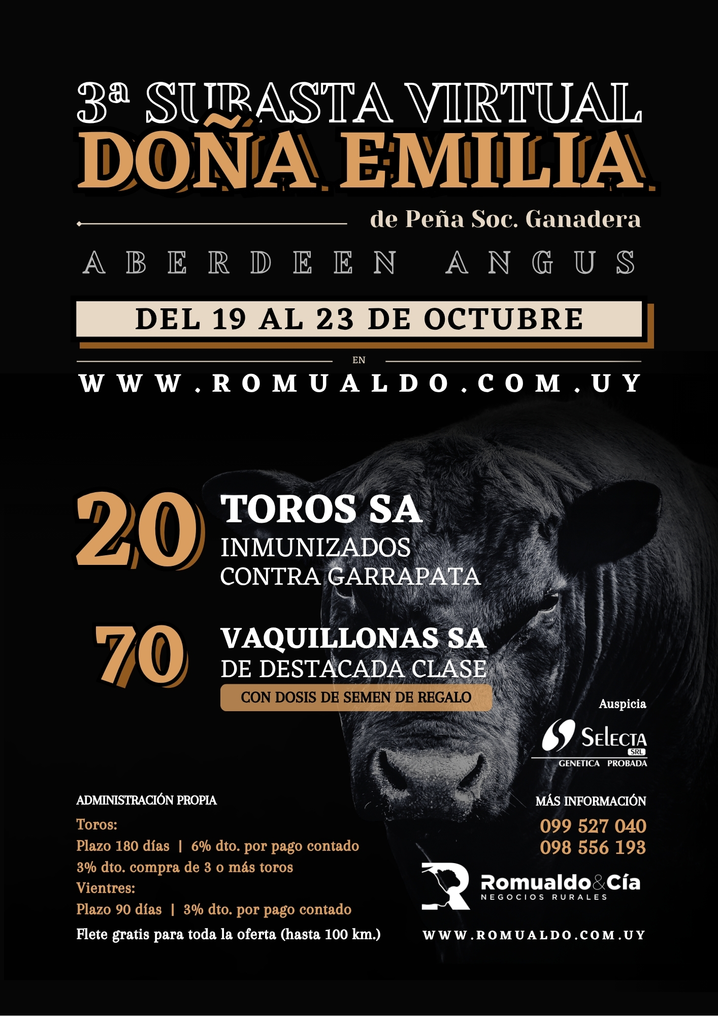 3° Subasta virtual Doña Emilia